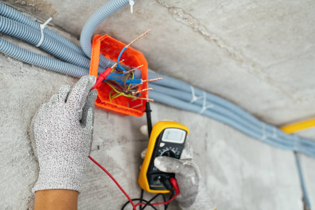 Best Electrical System Inspection  in Heeia, HI